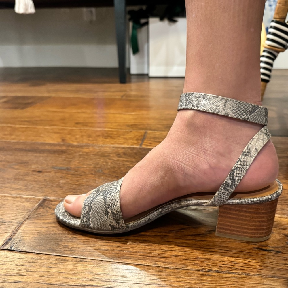 J. Crew Gray Snake Print Heels